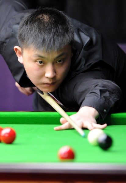 灰熊的外线 灰熊的外线